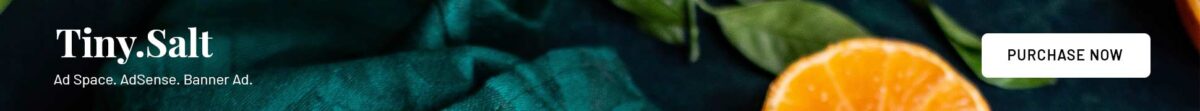 Copied Large Logo Header - Top Banner